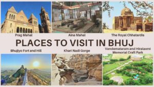 2024 Best 5 Must-Visit Travel Zones in Rann of Kutch and Bhuj