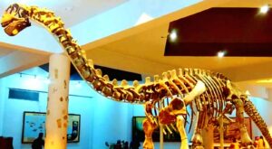 Hyderabad 2024: Top 18 Best Places with Complete Details 28 BM Birla Science Museum