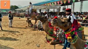 Pushkar Camel Fair