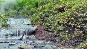 Hot Springs