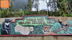 Padmaja Naidu Himalayan Zoological Park