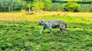 Sardar Patel Zoological Park01