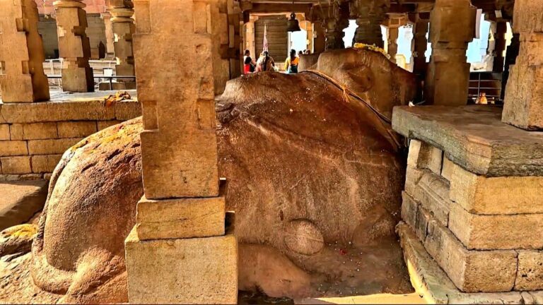 The Growing Nandi Idol