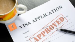 Visa Process