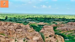 Lush Green Landscapes: Rajasthan Like Never Before