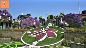 Miracle Garden