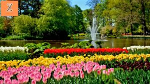 Keukenhof Gardens