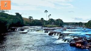 Best Time to Visit Guyana