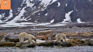 Svalbard – The Arctic Frontier