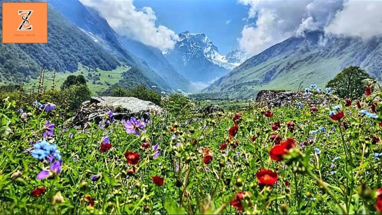 Valley of Flowers