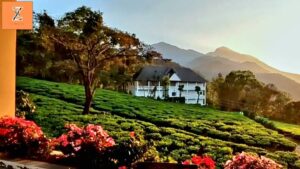 Where to Stay in Munnar