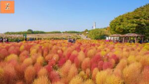 Haneul Park (Sky Park)