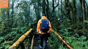 Best Time to Visit Machu Picchu