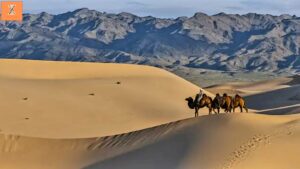 2. Witness the Gobi Desert’s Ever-Changing Landscapes